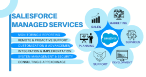 Salesforce Managed Services